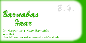 barnabas haar business card